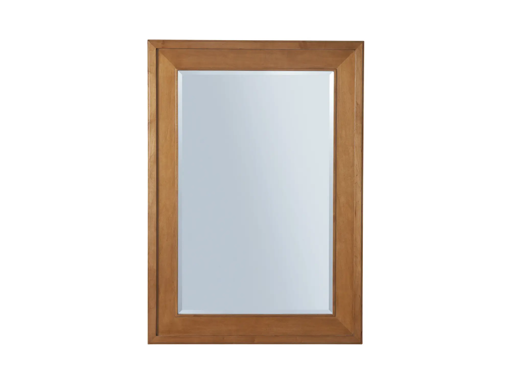 5c4cc520acd3e8b244c80b5c4fd8361e Laguna Swanson Rectangular Mirror - Image 1
