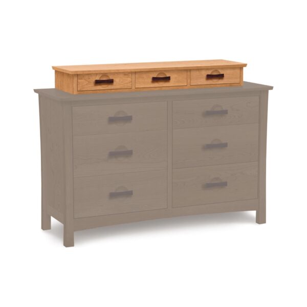 berkeley dresser accessory case