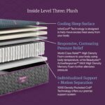 beautyrest world class level three plush
