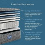 beautyrest level two medium