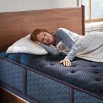 beautyrest world class level three plush