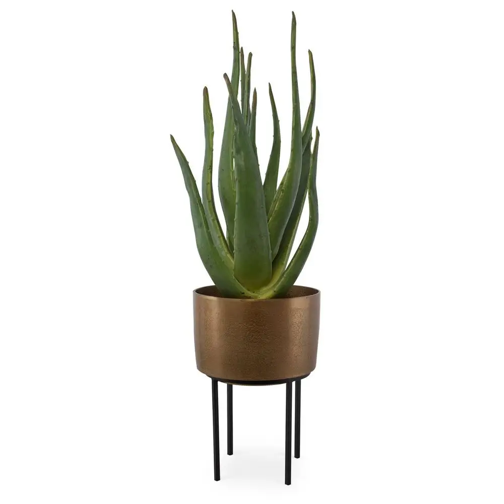 02d06efabcfeaef0a572e63045002c13 Arabia Aloe Planter, 2 Cartons - Image 1