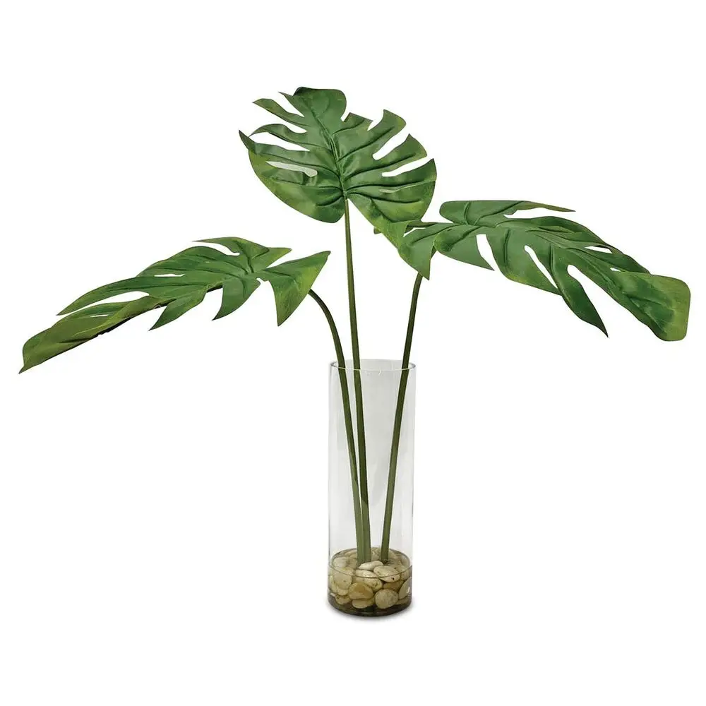 20371a13a9388638802fed7080c70dee Ibero Split Leaf Palm - Image 1
