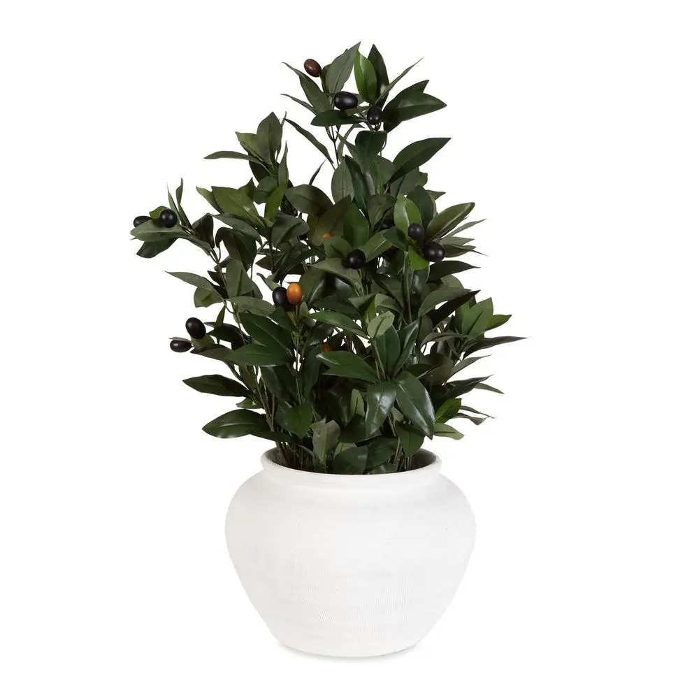 7d794643af6c1817180fcb5d6d0b2be0 Elena Olive Centerpiece - Image 1
