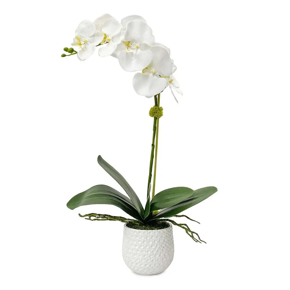cbe6460919836473b53468e2e0ce21ac Cami Orchid - Image 1