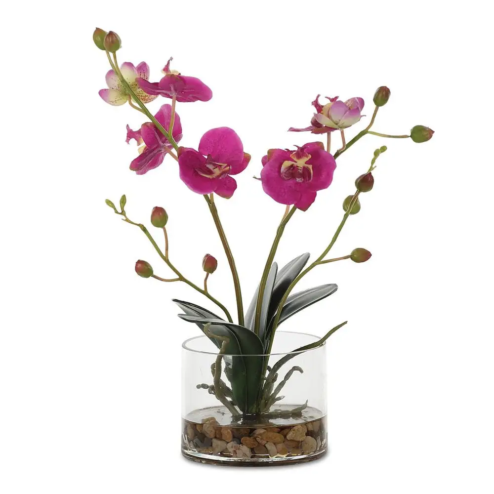 ee917705d8d83a0d42720fcb3af5b8be Glory Orchid, Fuschia - Image 1
