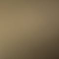 bronze bdi finish
