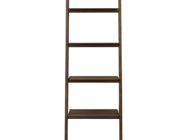 currant leaning bookshelf