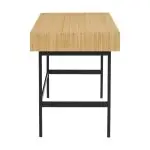 santa cruz desk
