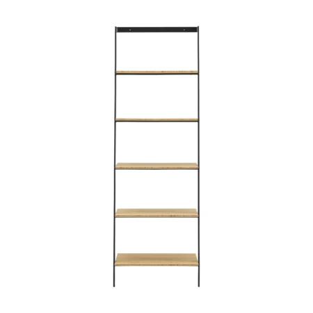 santa cruz leaning shelf