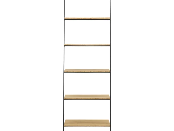 santa cruz leaning shelf