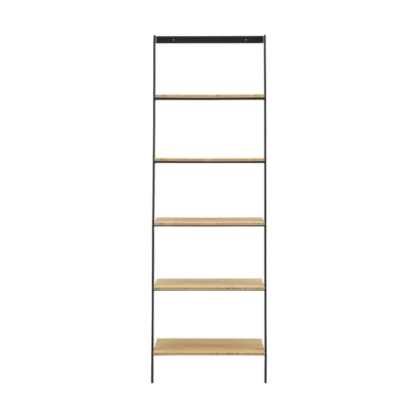 santa cruz leaning shelf