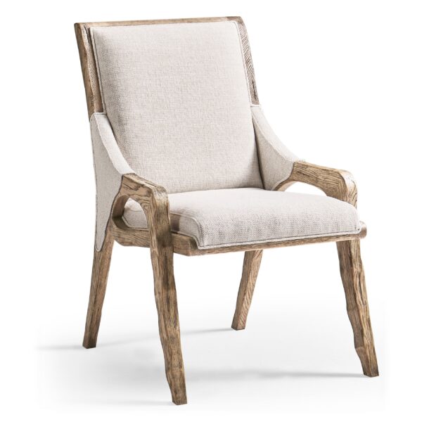echo canyon upholstered side chair