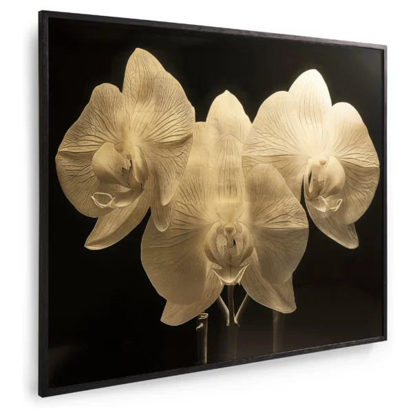 gold orchid