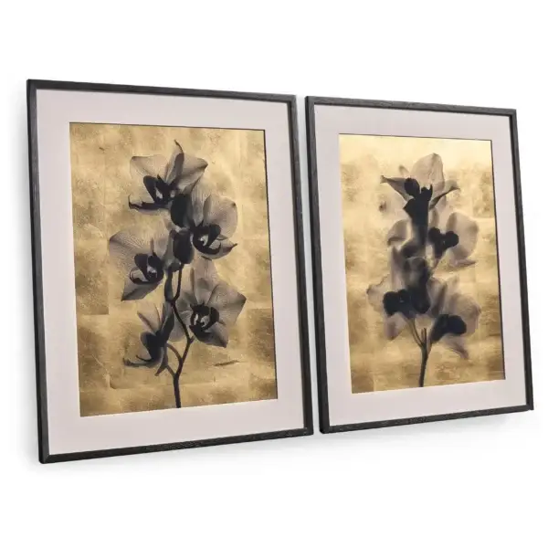 black orchids set of 2