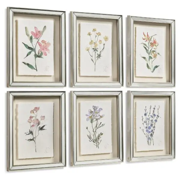 petals and process set of 6