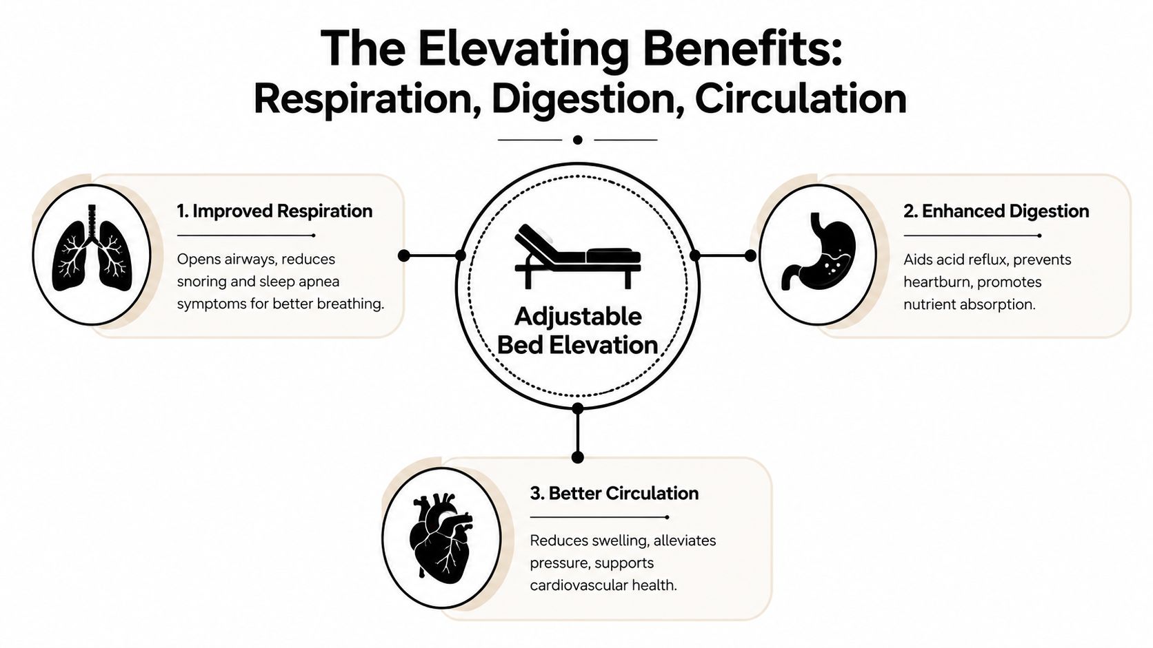 A diagram illustrating the health benefits of adjustable bed elevation for respiration, digestion, and circulation.