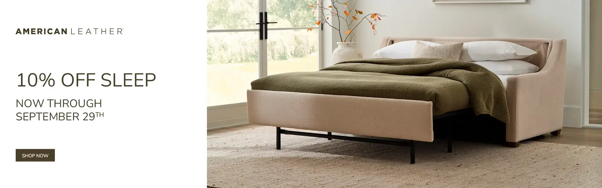 Modern beige sleeper sofa with a 10% off promotion.