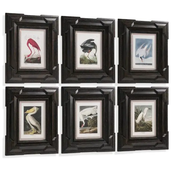 audubon birds set of 6