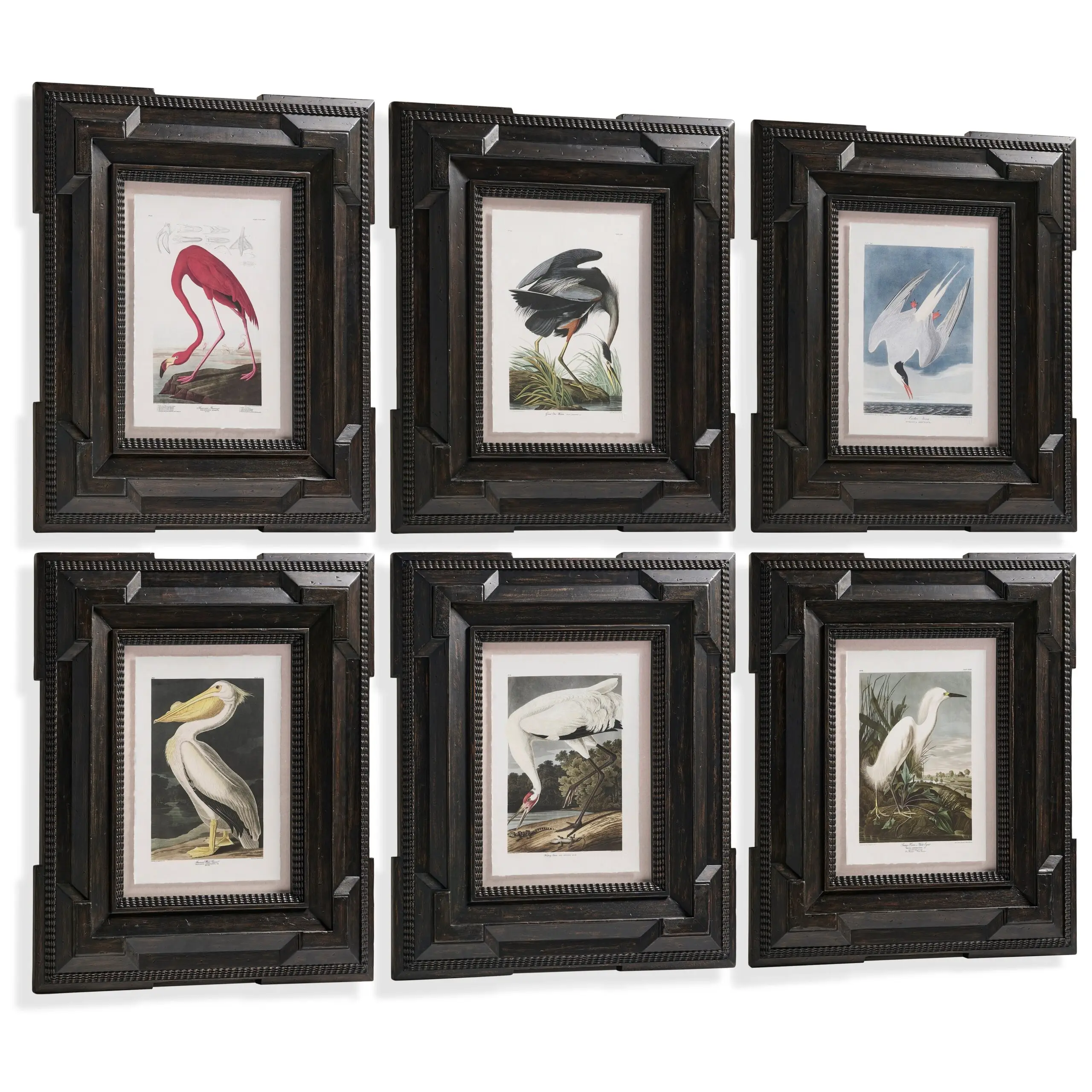audubon birds set of 6 audubon birds set of 6