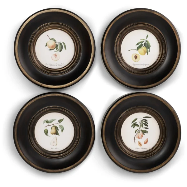 vintage fruit no. 1 set of 4