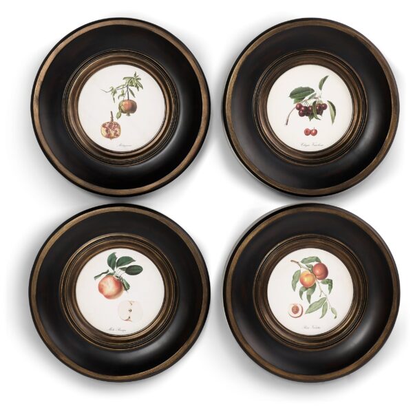 vintage fruit no. 2 set of 4