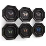 wings of discovery – set of 6