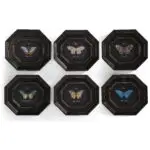 wings of discovery – set of 6