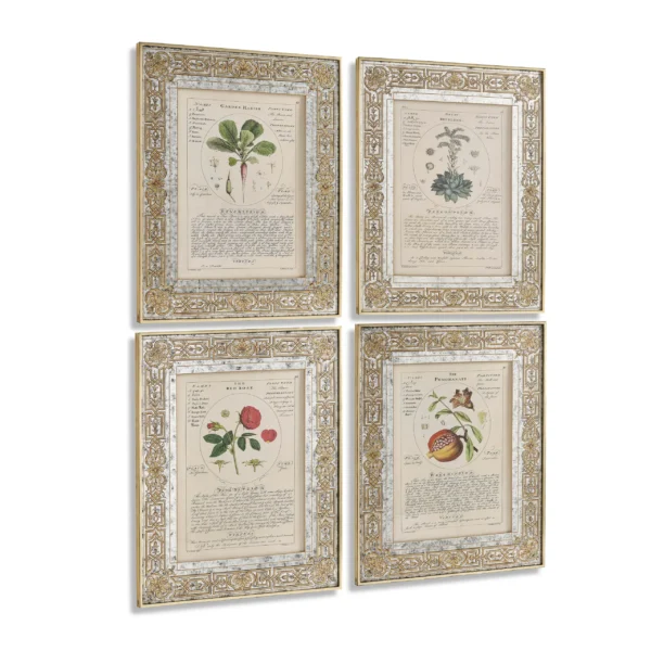 herbal of enlightenment set of 4