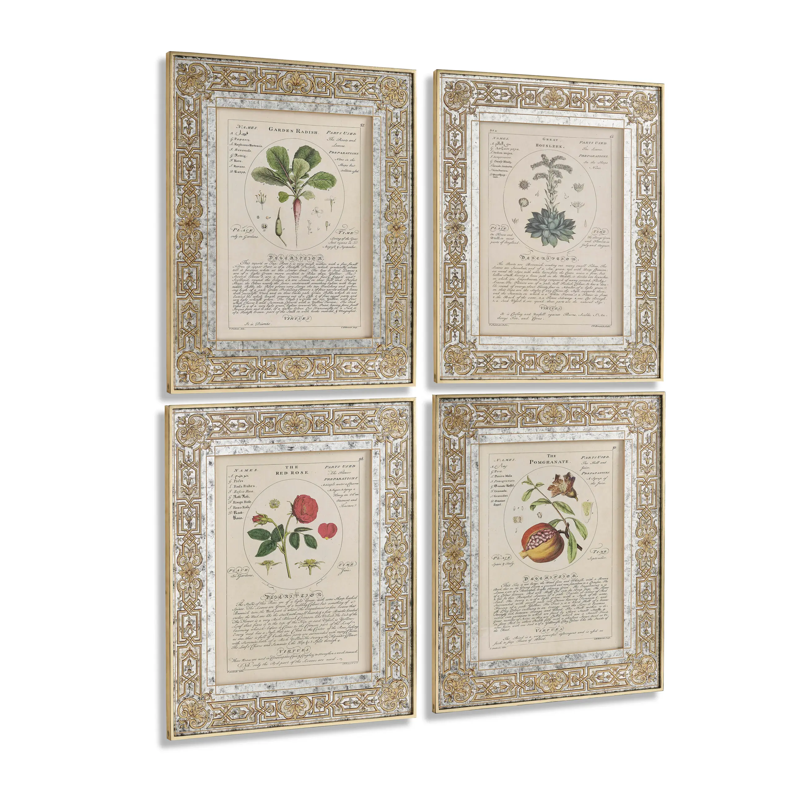 herbal of enlightenment set of 4 herbal of enlightenment set of 4