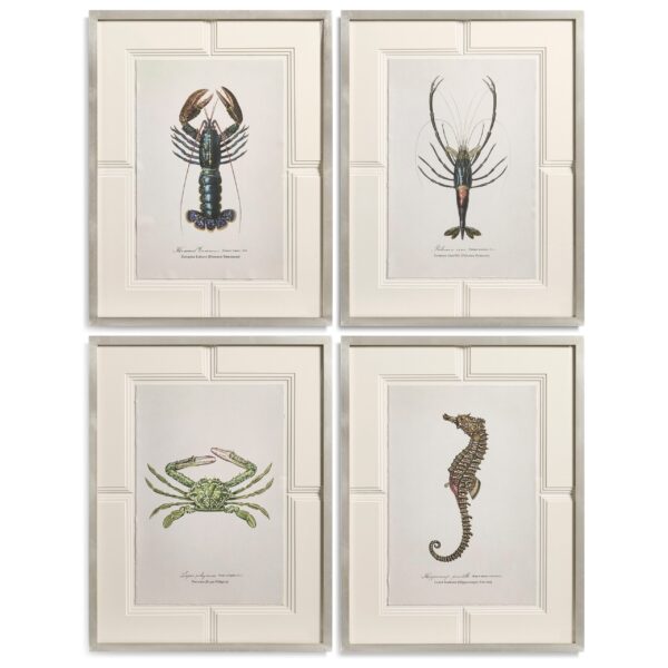 vintage marine animals set of 4
