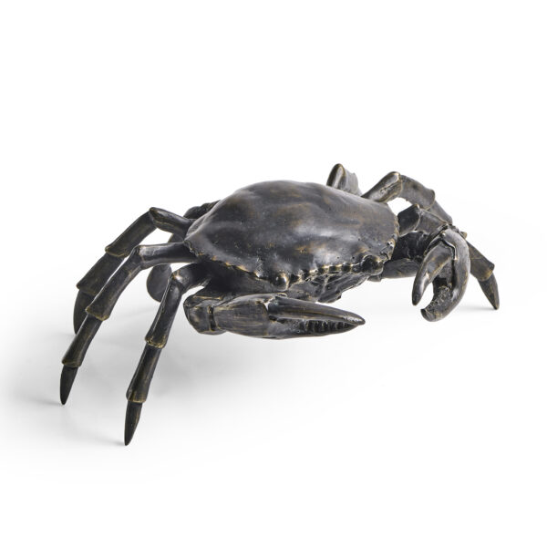 dark bronze crab