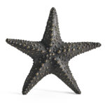 dark bronze starfish