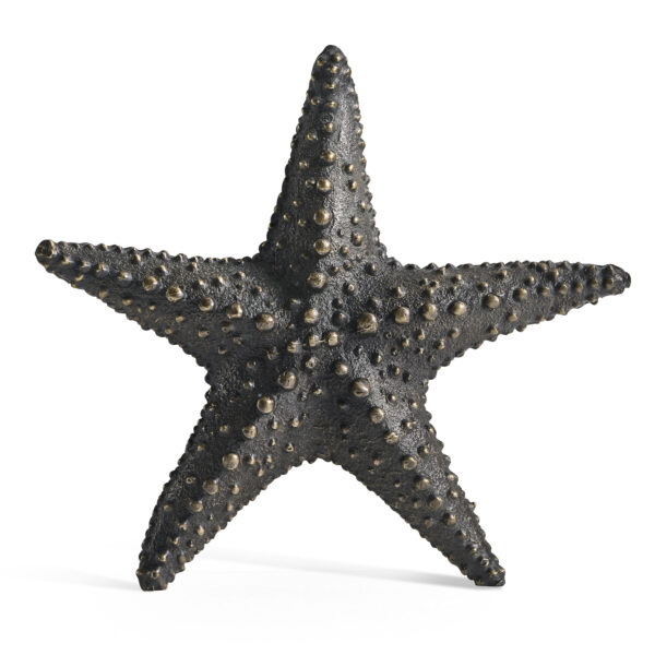 dark bronze starfish