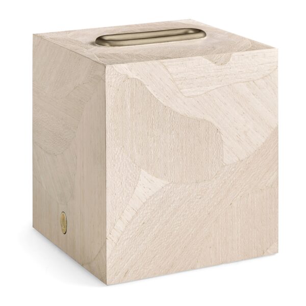 tidepool tissue box