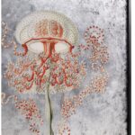 Vintage jellyfish illustration on a metallic silver-leaf background.