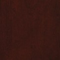 Close-up of a solid dark reddish-brown textured surface.
